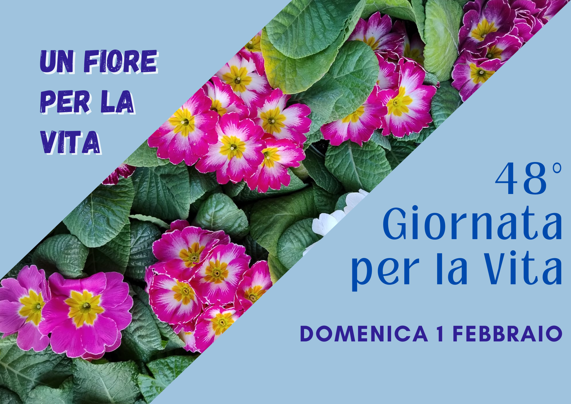 48° Giornata per la Vita